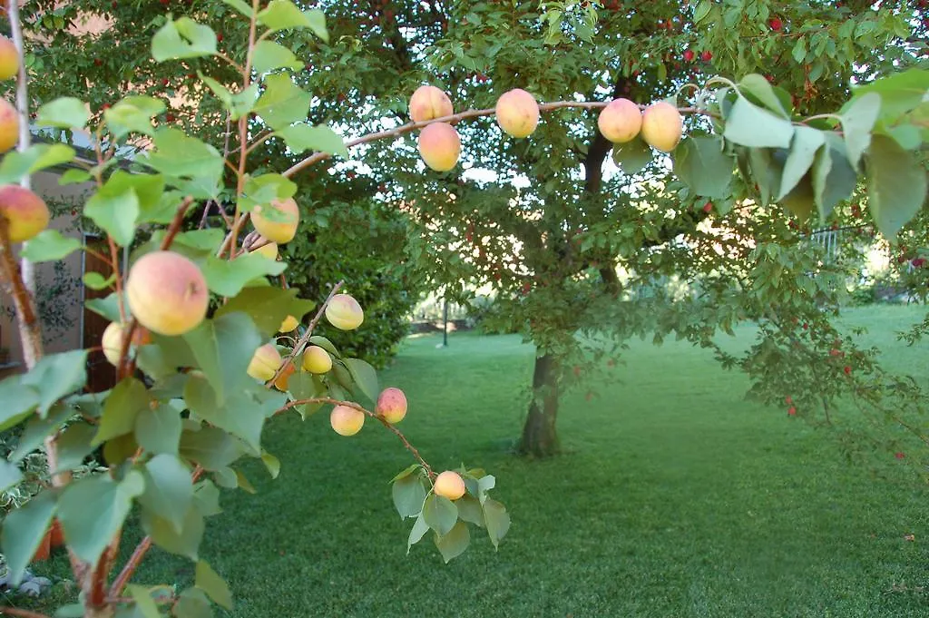 Bed & Breakfast B&B Cherry En Rose Lezzeno