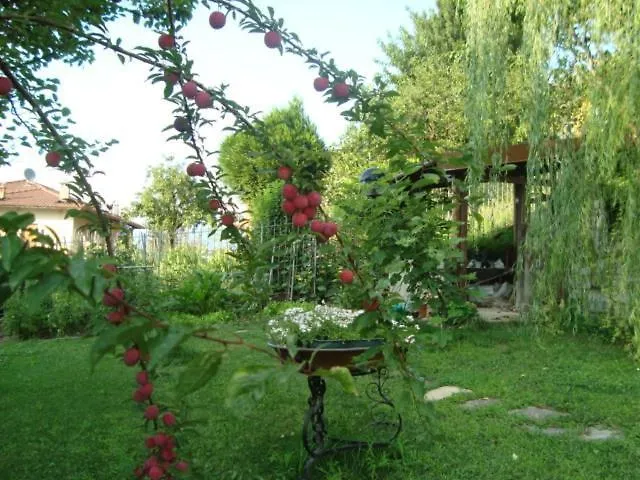 Bed and breakfast B&B Cherry En Rose Lezzeno Italia