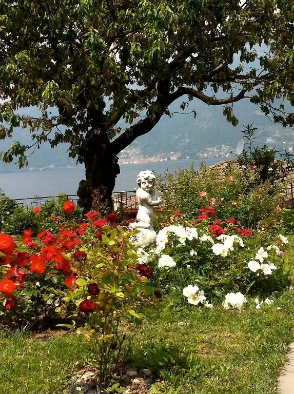 B&B Cherry En Rose Lezzeno Italia